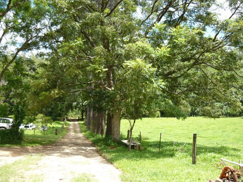 668 Upper Crystal Creek Road, Crystal Creek NSW 2484