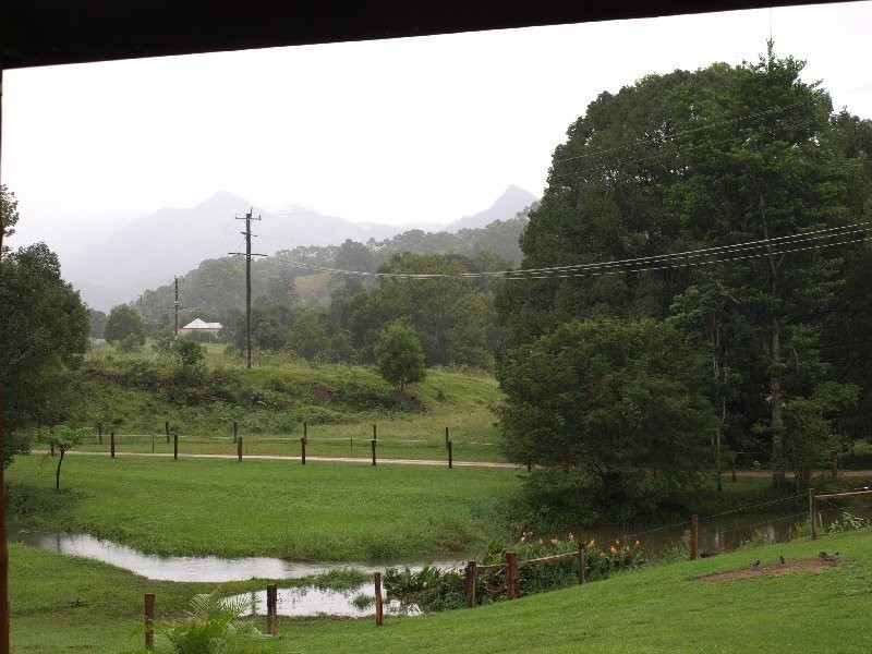 139 Chowan Creek Road, Murwillumbah NSW 2484
