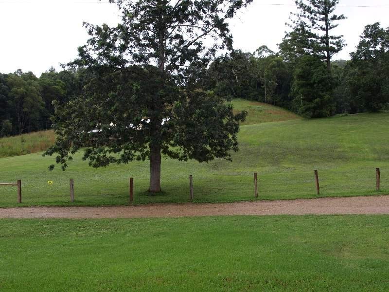 139 Chowan Creek Road, Murwillumbah NSW 2484