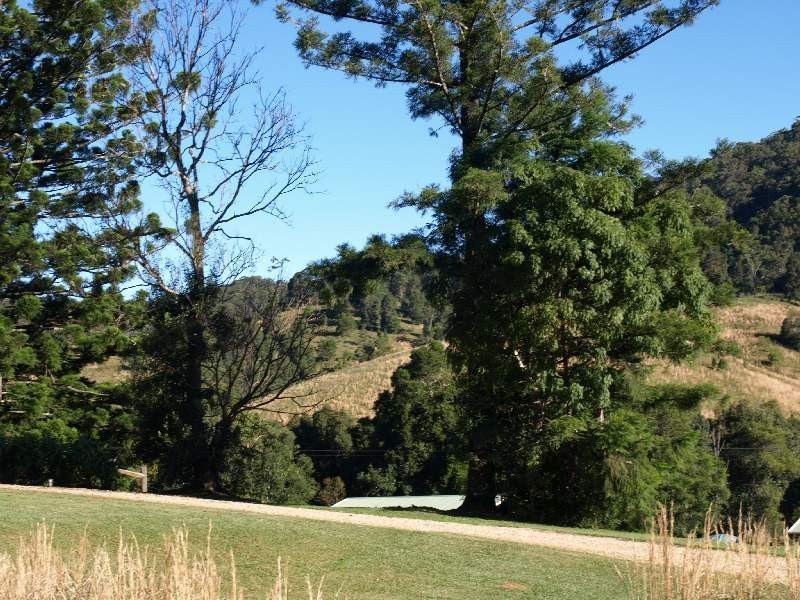 139 Chowan Creek Road, Murwillumbah NSW 2484