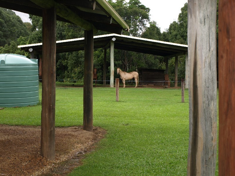 139 Chowan Creek Road, Murwillumbah NSW 2484