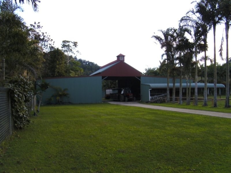 1004 Numinbah Road, Crystal Creek NSW 2484