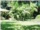 1004 Numinbah Road, Crystal Creek NSW 2484