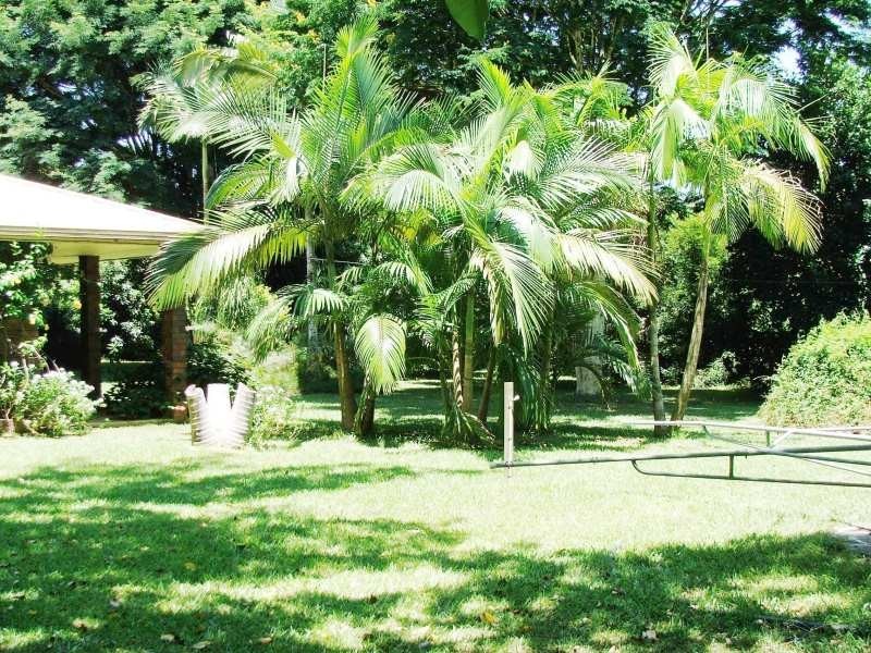 1004 Numinbah Road, Crystal Creek NSW 2484