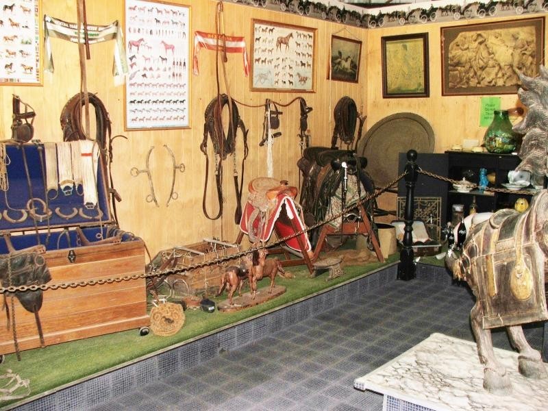 1004 Numinbah Road, Crystal Creek NSW 2484