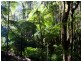 601 Smiths Creek Road, Uki NSW 2484