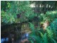 601 Smiths Creek Road, Uki NSW 2484