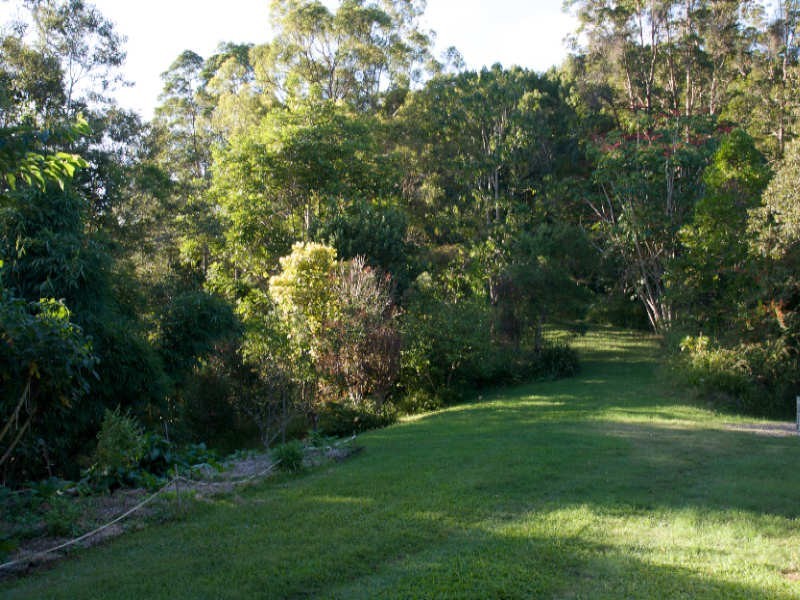 601 Smiths Creek Road, Uki NSW 2484
