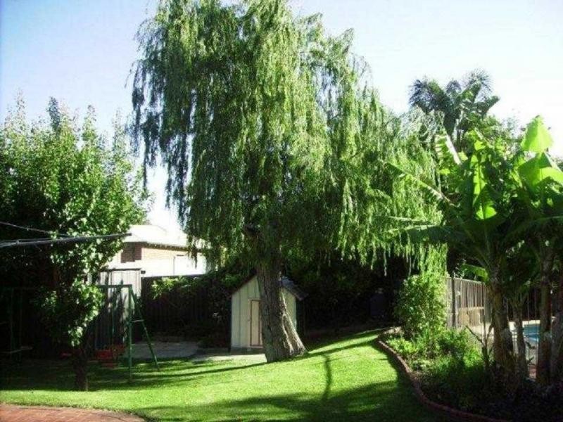 38 Reid Street, Bassendean WA 6054