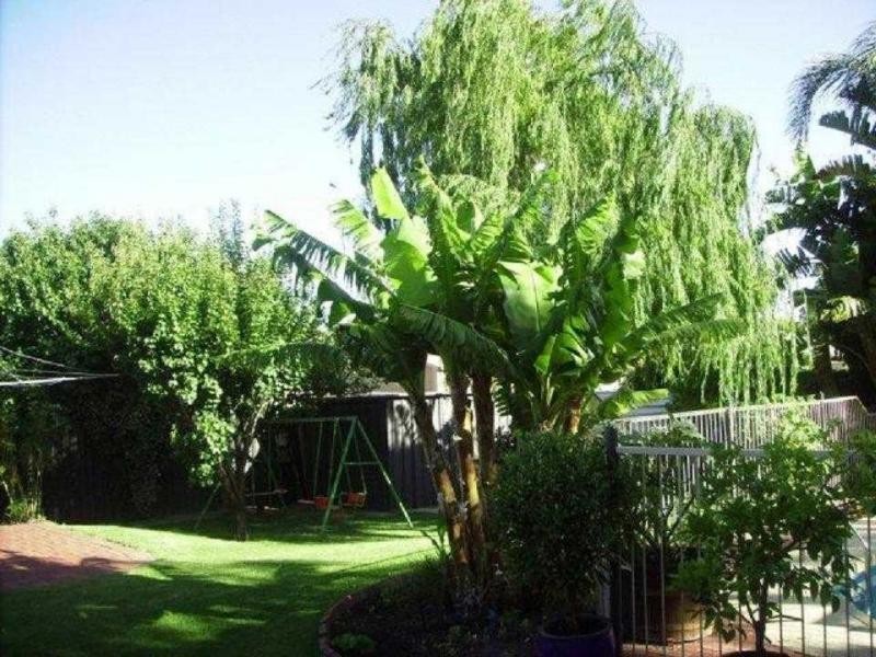 38 Reid Street, Bassendean WA 6054