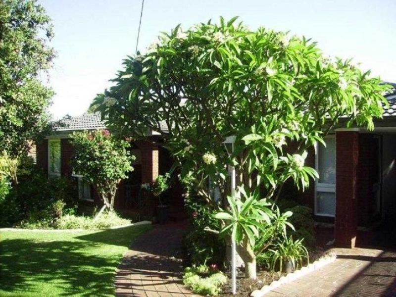 38 Reid Street, Bassendean WA 6054