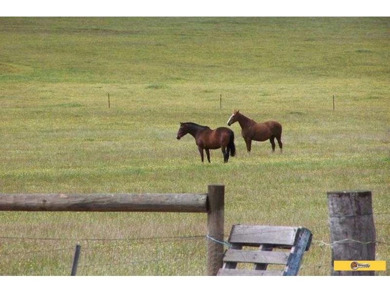 129 Tyrer Road, Brookton WA 6306