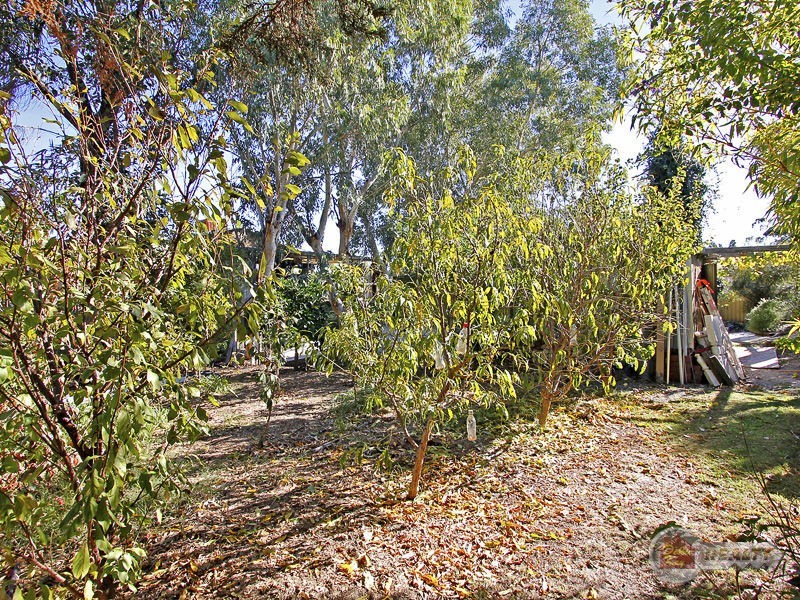 31 Upperthong Street, Bullsbrook WA 6084