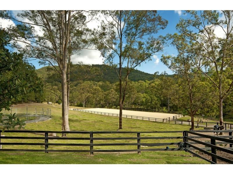 14 Intrigue Court, Guanaba QLD 4210