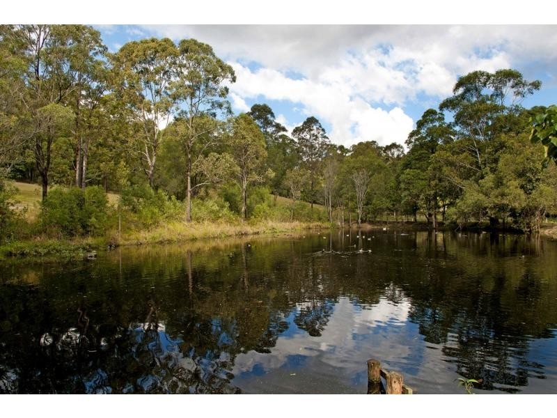 14 Intrigue Court, Guanaba QLD 4210