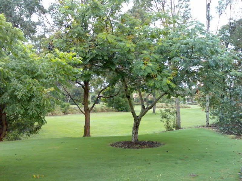 Hope Island QLD 4212