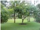 Hope Island QLD 4212