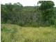 Tangalooma QLD 4025