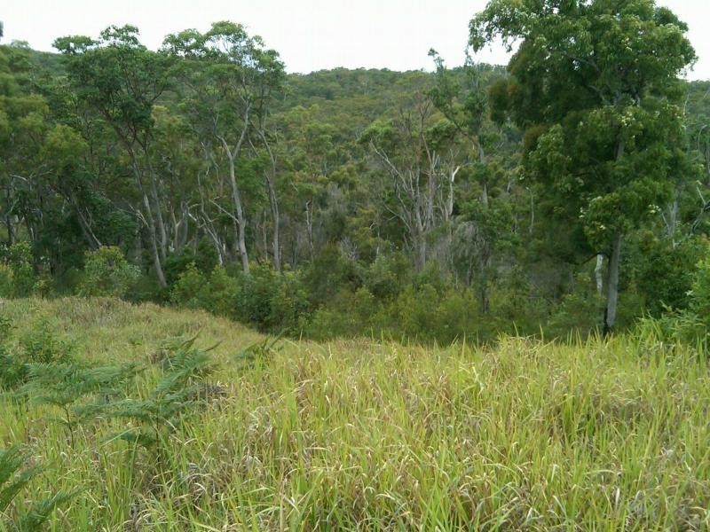 Tangalooma QLD 4025