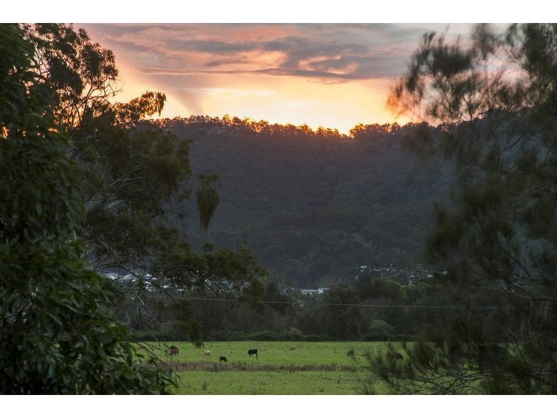 24 Princeton Street, Oxenford QLD 4210