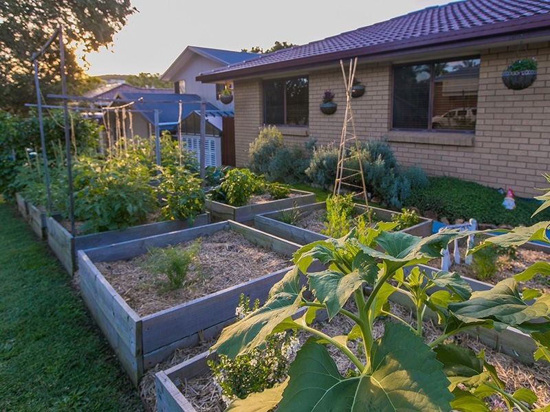 27 Dupre Street, Upper Mount Gravatt QLD 4122