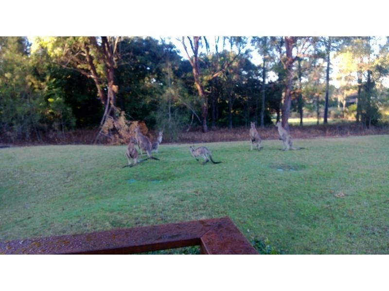 Hope Island QLD 4212