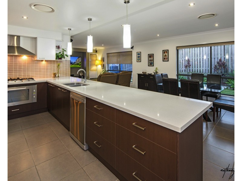 56 Picnic Creek Dr, Coomera QLD 4209