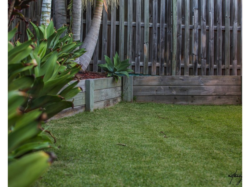 56 Picnic Creek Dr, Coomera QLD 4209