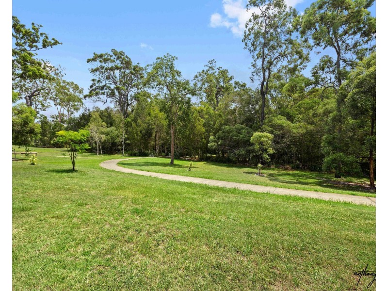 55 Picnic Creek Dr, Coomera QLD 4209