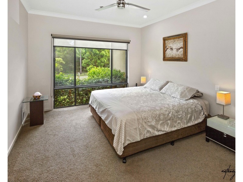 55 Picnic Creek Dr, Coomera QLD 4209