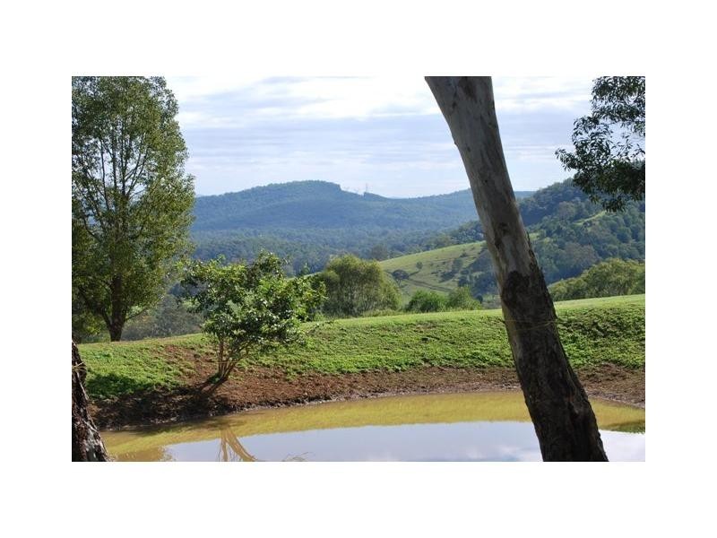 Cedar Creek QLD 4207
