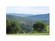 Cedar Creek QLD 4207