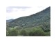 Cedar Creek QLD 4207