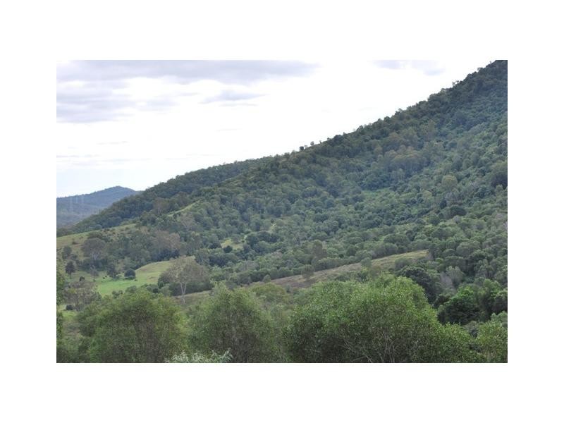 Cedar Creek QLD 4207