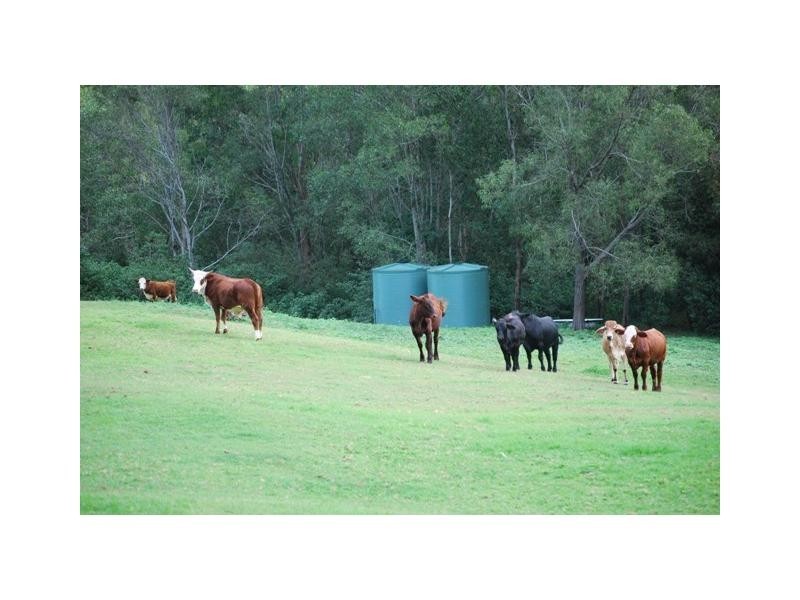 Cedar Creek QLD 4207
