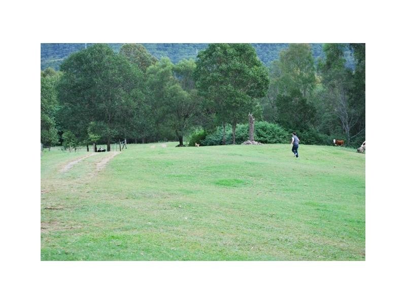 Cedar Creek QLD 4207