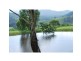 Cedar Creek QLD 4207