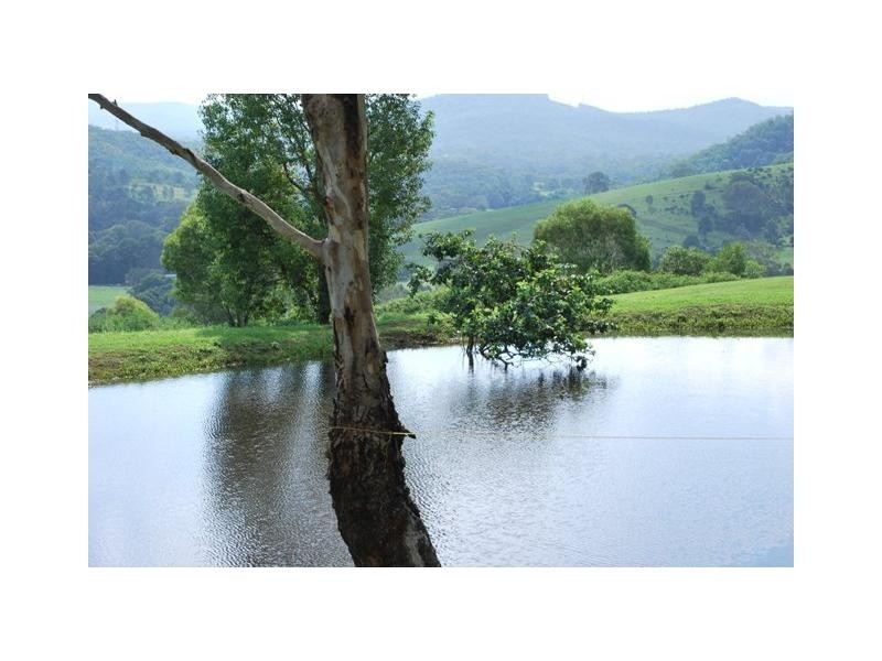 Cedar Creek QLD 4207
