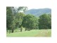 Cedar Creek QLD 4207