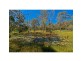 Tamborine QLD 4270