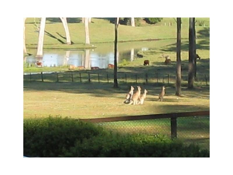 Tamborine QLD 4270