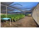 2141 Beaudesert-beenleigh Road, Tamborine QLD 4270
