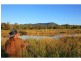 2141 Beaudesert-beenleigh Road, Tamborine QLD 4270