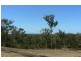 102 Guara Grove, Pimpama QLD 4209
