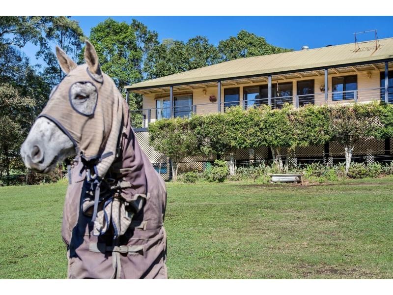 210 Thomsons Road, Kingsholme QLD 4208
