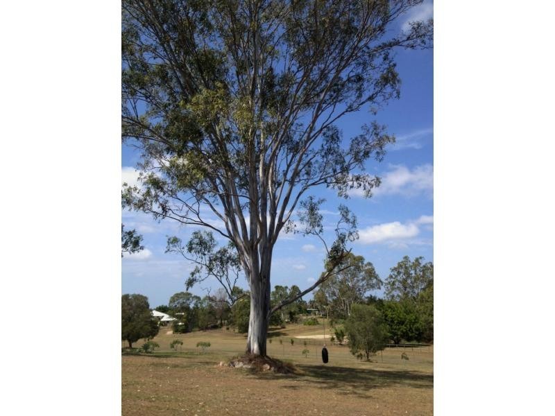 56 MCIVOR Court, Ormeau QLD 4208