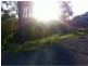 Ormeau Hills QLD 4208