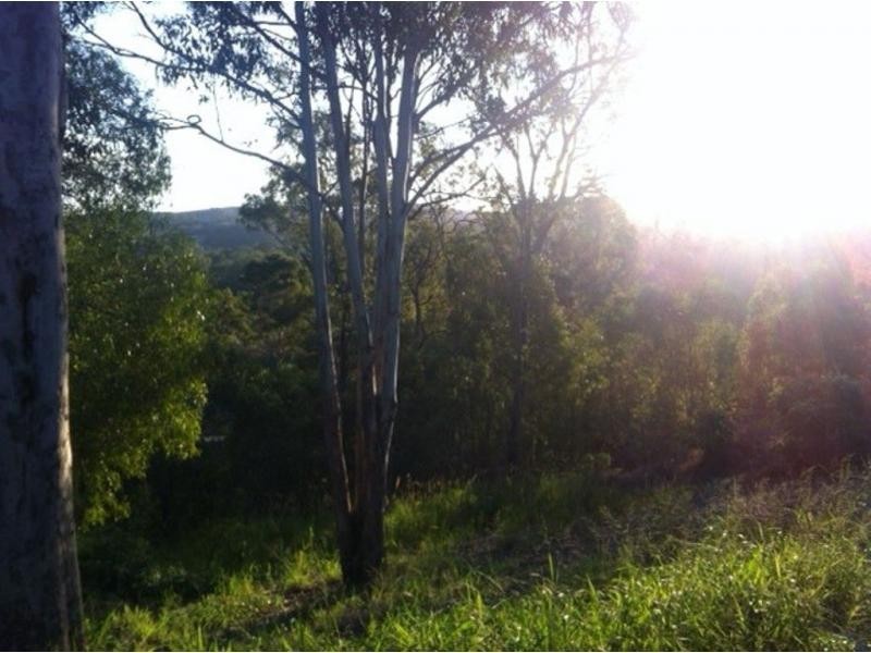 Ormeau Hills QLD 4208