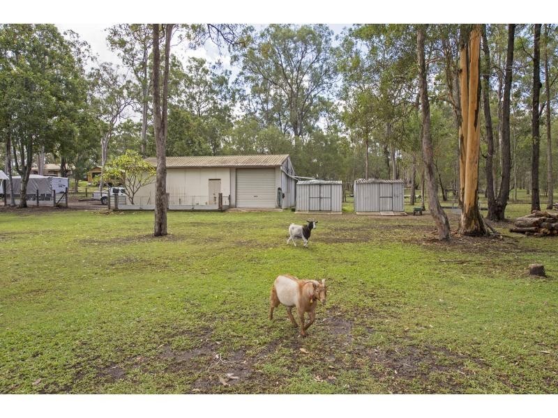 174 Buccan Road, Buccan QLD 4207