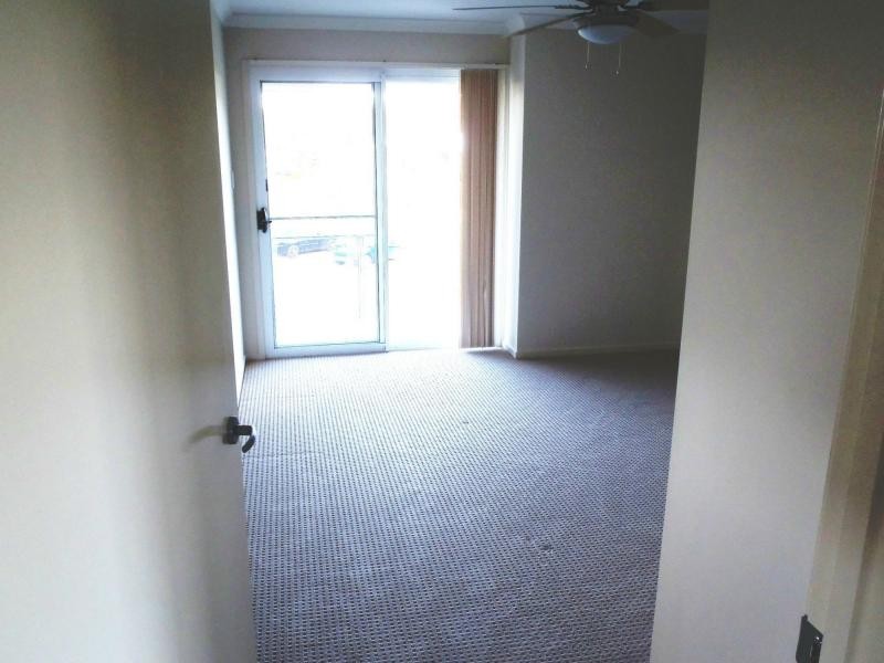 19 Terang Court, Ormeau QLD 4208